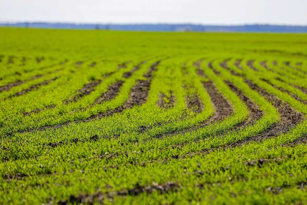 Changing the rural landscape blog